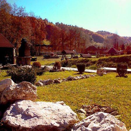 موغيتْشي دي يوس Casa Olteanu Pension المظهر الخارجي الصورة
