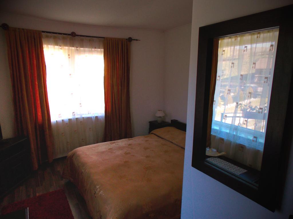 موغيتْشي دي يوس Casa Olteanu Pension المظهر الخارجي الصورة
