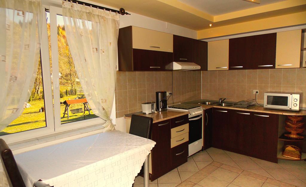 موغيتْشي دي يوس Casa Olteanu Pension المظهر الخارجي الصورة
