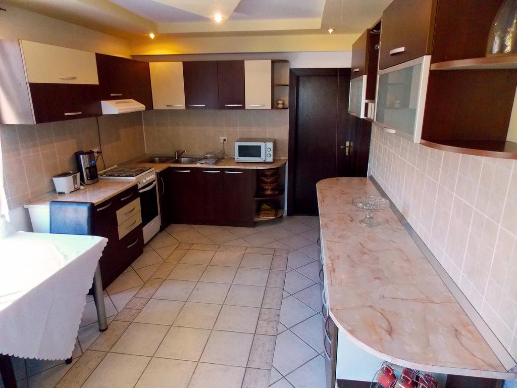 موغيتْشي دي يوس Casa Olteanu Pension المظهر الخارجي الصورة