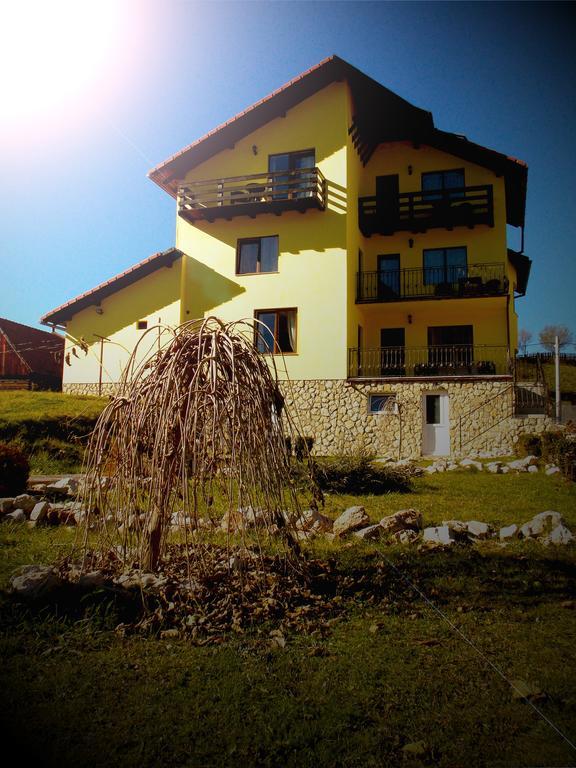 موغيتْشي دي يوس Casa Olteanu Pension المظهر الخارجي الصورة