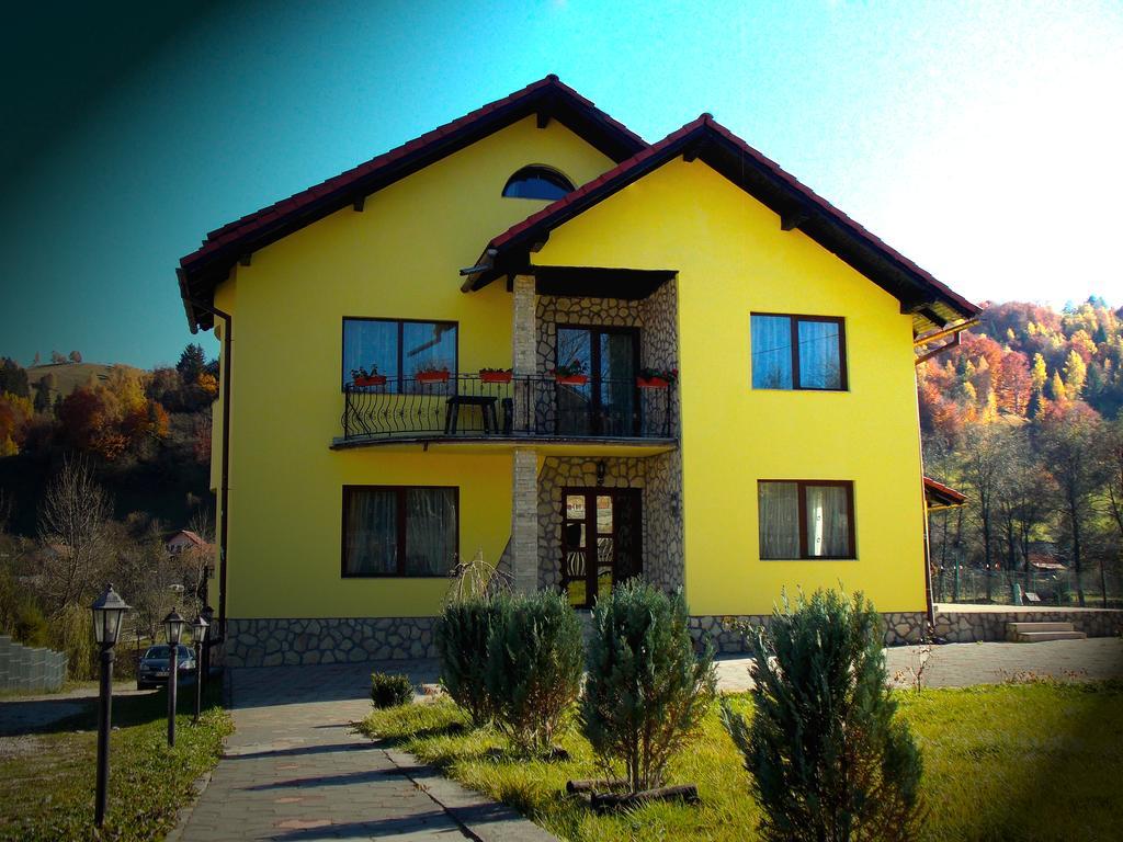 موغيتْشي دي يوس Casa Olteanu Pension المظهر الخارجي الصورة